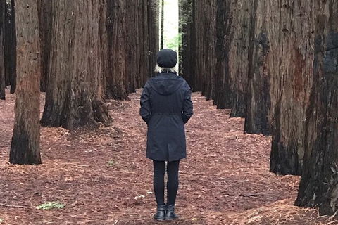 Private Aqueduct To California Redwoods Hiking Tour - Attractions Melbourne 1