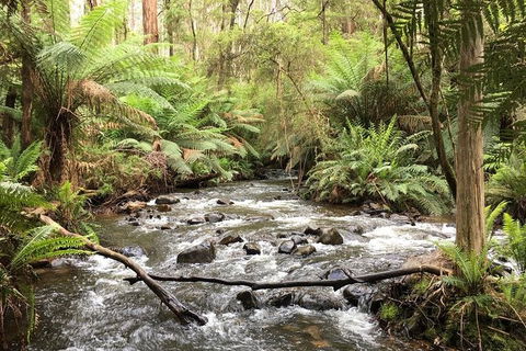 Private Aqueduct To California Redwoods Hiking Tour - Attractions Melbourne 3