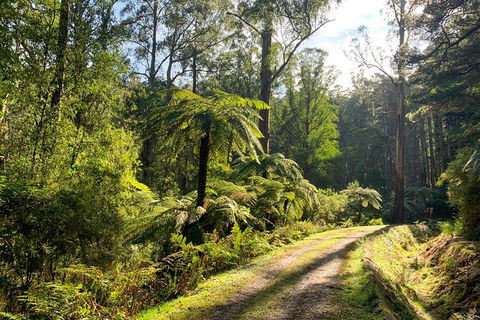 Private Aqueduct To California Redwoods Hiking Tour - Attractions Melbourne 0