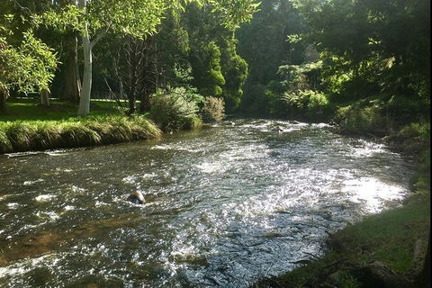 Watertube Experience In Yarra River - Attractions Melbourne 3