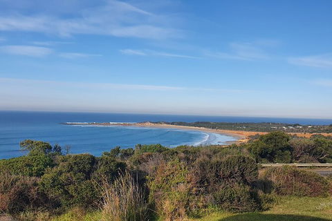 Private Great Ocean Road And Chocolaterie Tour With Tasting - Attractions Melbourne 5