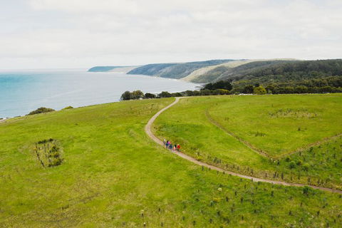 Walk With Wildlife: Guided Tour In Great Ocean Road - Attractions Melbourne 3