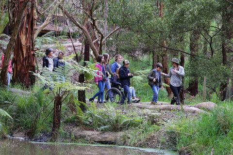 Walk With Wildlife: Guided Tour In Great Ocean Road - Attractions Melbourne 4