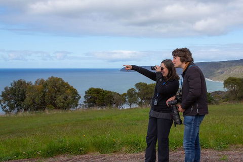 Walk With Wildlife: Guided Tour In Great Ocean Road - Attractions Melbourne 5