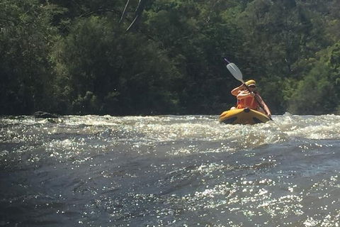 Yarra River Half-Day Rafting Experience - Attractions Melbourne 5