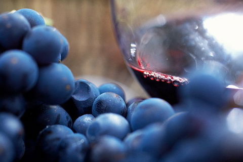 Mornington Peninsula 2-6 Guests Lunch Rare Hare Or Merricks General Wine Store - Attractions Melbourne 7