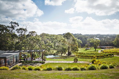 Mornington Peninsula 2-6 Guests Lunch Rare Hare Or Merricks General Wine Store - Attractions Melbourne 3