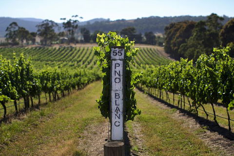 Mornington Peninsula 2-6 Guests Lunch Rare Hare Or Merricks General Wine Store - Attractions Melbourne 5