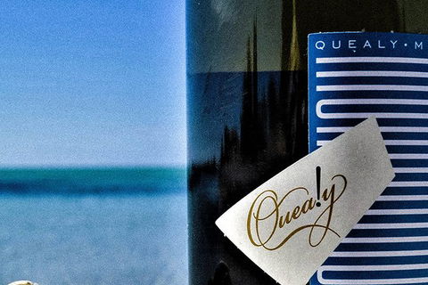 Mornington Peninsula 2-6 Guests Lunch And Inc Wine Tasting At Quealy Winemakers - Attractions Melbourne 0