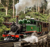 Small Group - Dandenong Ranges Puffing Billy  Healesville Sanctuary Day Tour - Attractions Melbourne