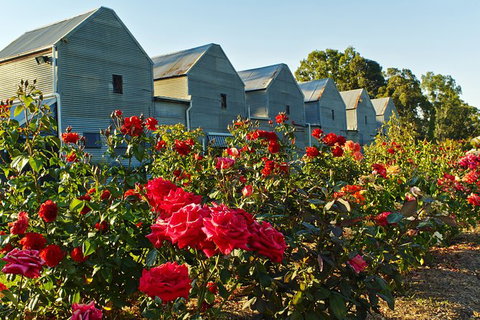 Pizzini Wines: Pop & Fizz - Attractions Melbourne 2