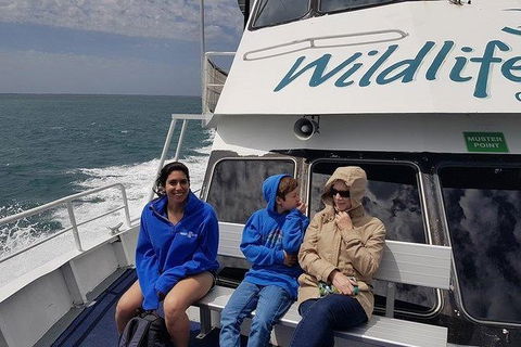Phillip Island Penguin And Wildlife Tour - Attractions Melbourne 15