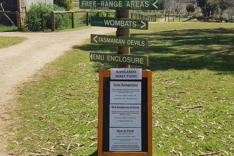 Phillip Island Penguin And Wildlife Tour - Attractions Melbourne 4