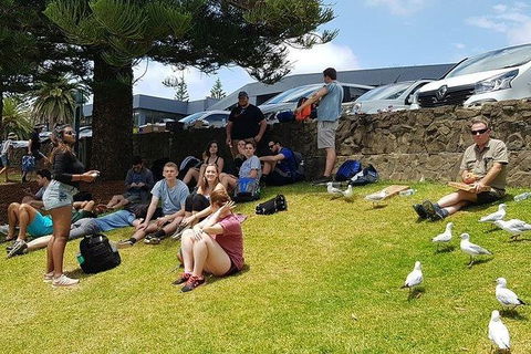Phillip Island Penguin And Wildlife Tour - Attractions Melbourne 22