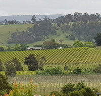 Yarra Valley Wine Tasting Day Tour from Melbourne - Attractions Melbourne
