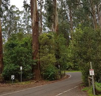 Full-Day Dandenong Ranges Tour with Pickup from Melbourne - Attractions Melbourne
