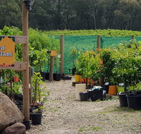 Yarra Valley Wineries and Rayners Orchard Tour from Melbourne - Attractions Melbourne