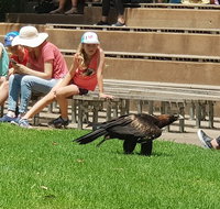 Healesville Sanctuary and Rayners Orchard Tour from Melbourne - Attractions Melbourne