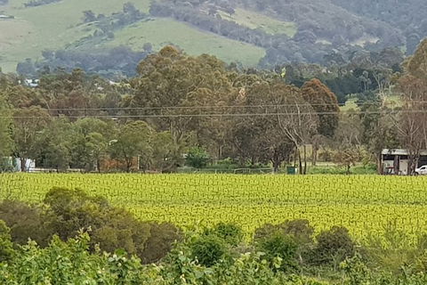 Day Tour Of Yarra Valley Puffing Billy And Rayners Orchard - Attractions Melbourne 44