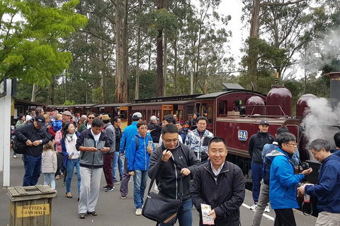 Day Tour Of Yarra Valley Puffing Billy And Rayners Orchard - Attractions Melbourne 3