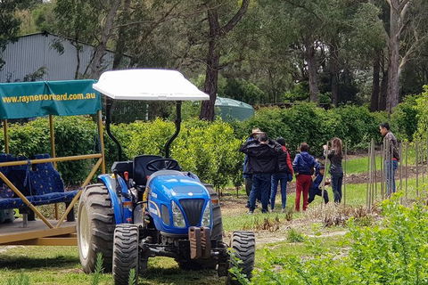 Day Tour Of Yarra Valley Puffing Billy And Rayners Orchard - Attractions Melbourne 10