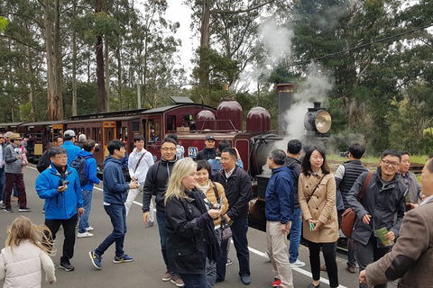 Day Tour Of Yarra Valley Puffing Billy And Rayners Orchard - Attractions Melbourne 18