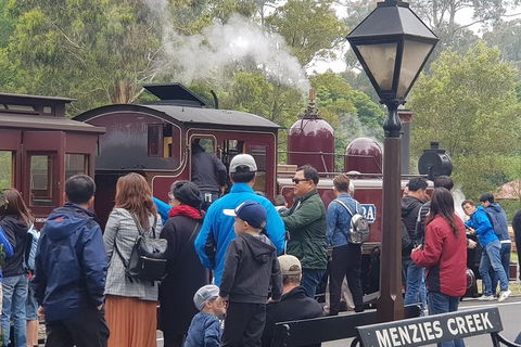 Day Tour Of Yarra Valley Puffing Billy And Rayners Orchard - Attractions Melbourne 40