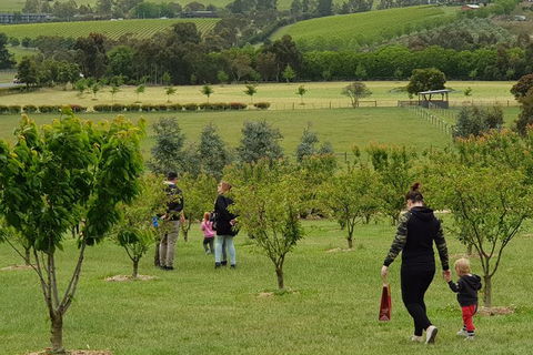 Day Tour Of Yarra Valley Puffing Billy And Rayners Orchard - Attractions Melbourne 36