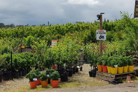 Day Tour Of Yarra Valley Puffing Billy And Rayners Orchard - Attractions Melbourne 46