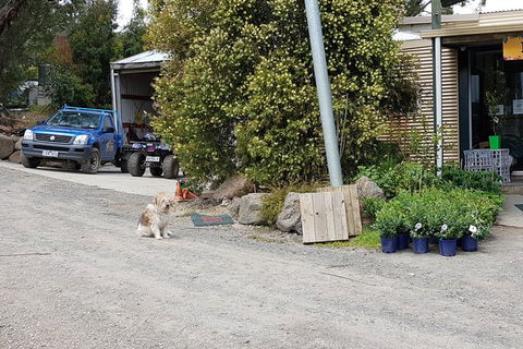 Day Tour Of Yarra Valley Puffing Billy And Rayners Orchard - Attractions Melbourne 6