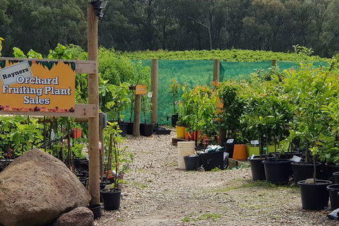 Day Tour Of Yarra Valley Puffing Billy And Rayners Orchard - Attractions Melbourne 22