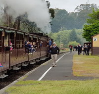 Day Tour of Yarra Valley Puffing Billy and Rayners Orchard - Attractions Melbourne