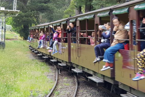 Day Tour Of Yarra Valley Puffing Billy And Rayners Orchard - Attractions Melbourne 13