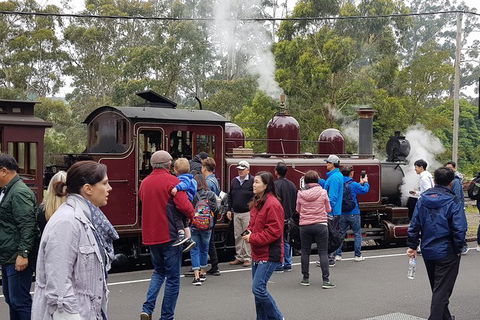 Day Tour Of Yarra Valley Puffing Billy And Rayners Orchard - Attractions Melbourne 4