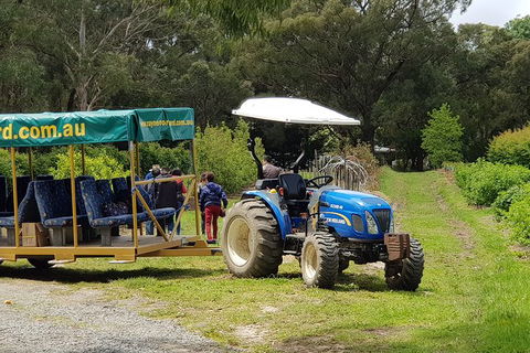Day Tour Of Yarra Valley Puffing Billy And Rayners Orchard - Attractions Melbourne 25
