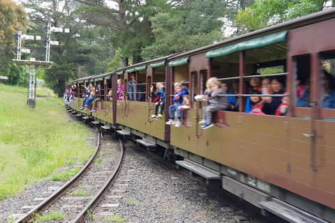 Day Tour Of Yarra Valley Puffing Billy And Rayners Orchard - Attractions Melbourne 24