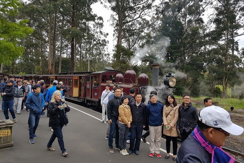 Day Tour Of Yarra Valley Puffing Billy And Rayners Orchard - Attractions Melbourne 9