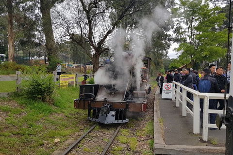 Day Tour Of Yarra Valley Puffing Billy And Rayners Orchard - Attractions Melbourne 43