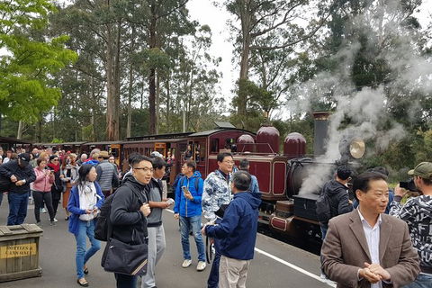 Day Tour Of Yarra Valley Puffing Billy And Rayners Orchard - Attractions Melbourne 12