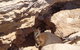 Shipwreck Special Full Day Tour Of The Abrolhos Islands - thumb 1