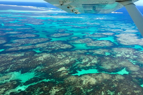 Shipwreck Special Full Day Tour Of The Abrolhos Islands - Attractions Melbourne 5