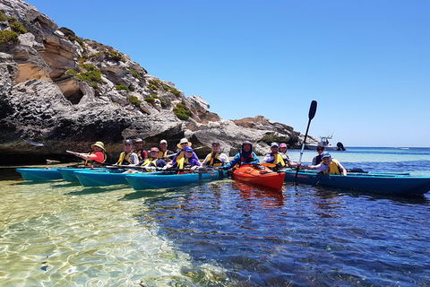 Rottnest Glass Bottom Kayaking Tour - Attractions Melbourne 0