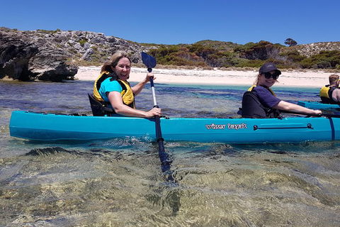 Rottnest Glass Bottom Kayaking Tour - Attractions Melbourne 2