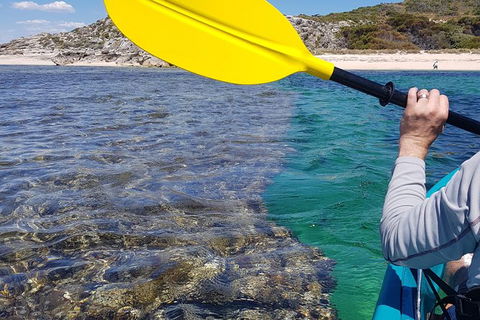 Rottnest Glass Bottom Kayaking Tour - Attractions Melbourne 3