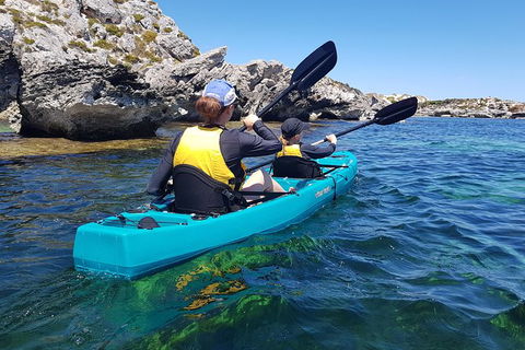Rottnest Glass Bottom Kayaking Tour - Attractions Melbourne 4