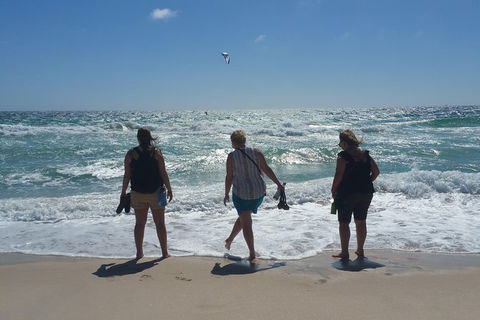 Very Best Of Perth Tour - Wildlife Park & City Highlights Tour - Attractions Melbourne 16