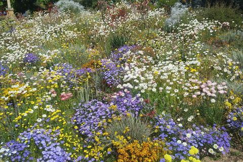 Very Best Of Perth Tour - Wildlife Park & City Highlights Tour - Attractions Melbourne 14