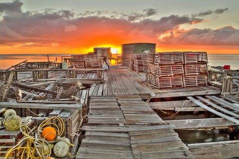 Abrolhos Islands 3 Day Fishing Charter - Attractions Melbourne 5