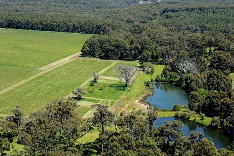 Sweeties Tour With A Difference - Attractions Melbourne 6