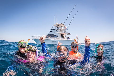 Life On Ningaloo Swimming Tour In Exmouth - Attractions Melbourne 4